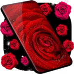 red rose 4k live wallpaper android application logo